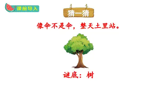 人教版小学二年级上册语文教学课件 第二单元 识字2 树之歌