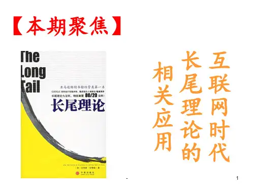 互联网时代长尾理论的相关应用PPT课件