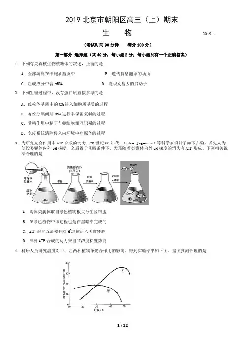 2018-2019朝阳区高三上学期期末生物
