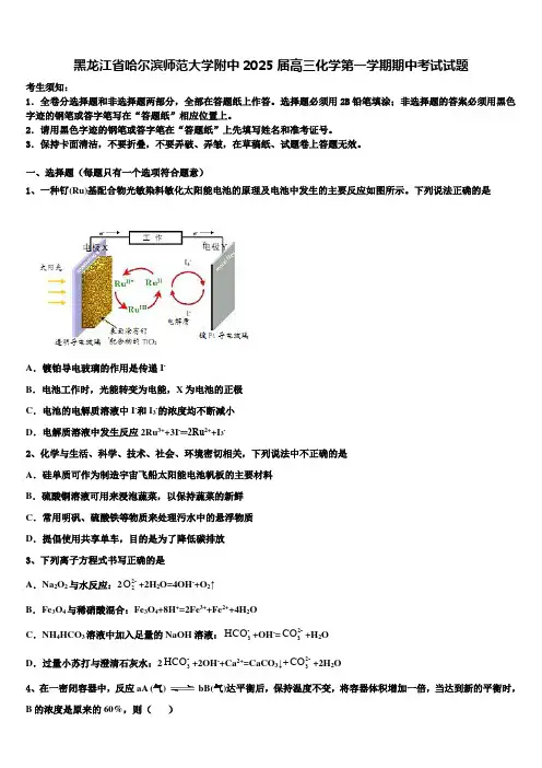黑龙江省哈尔滨师范大学附中2025届高三化学第一学期期中考试试题含解析