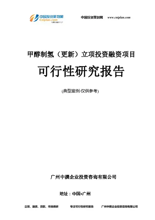 甲醇制氢(更新)融资投资立项项目可行性研究报告(中撰咨询)