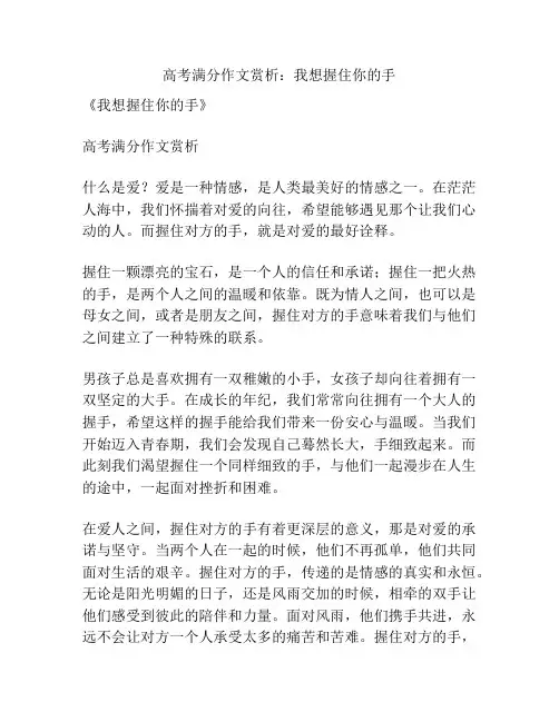 高考满分作文赏析：我想握住你的手