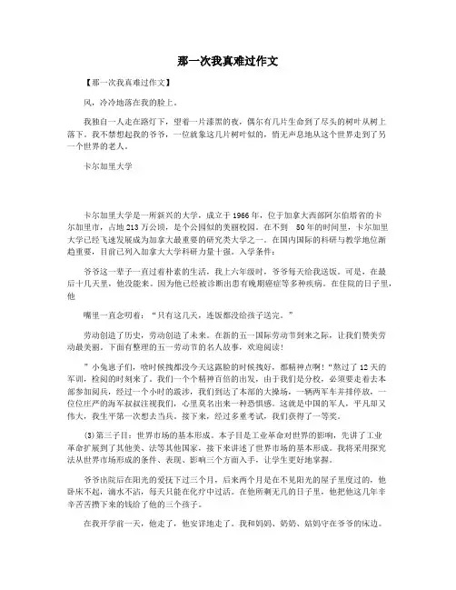 那一次我真难过作文