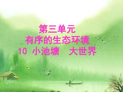 冀人版六年级科学下册《有序的生态系统  10 小池塘 大世界》课件_16