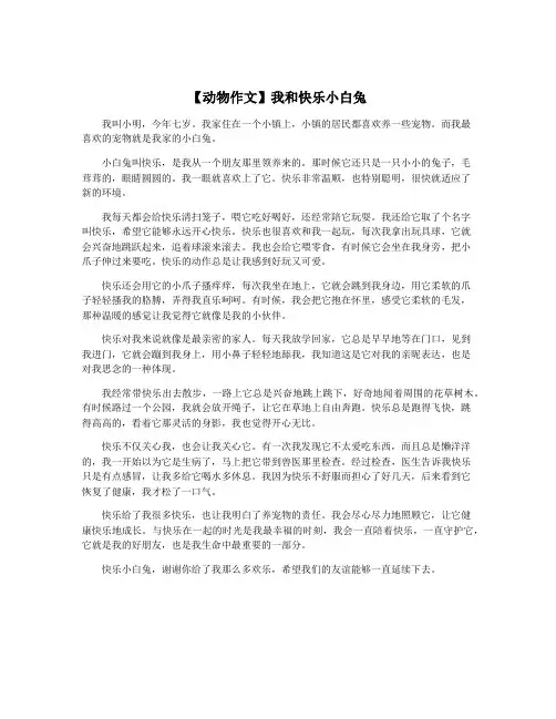 【动物作文】我和快乐小白兔