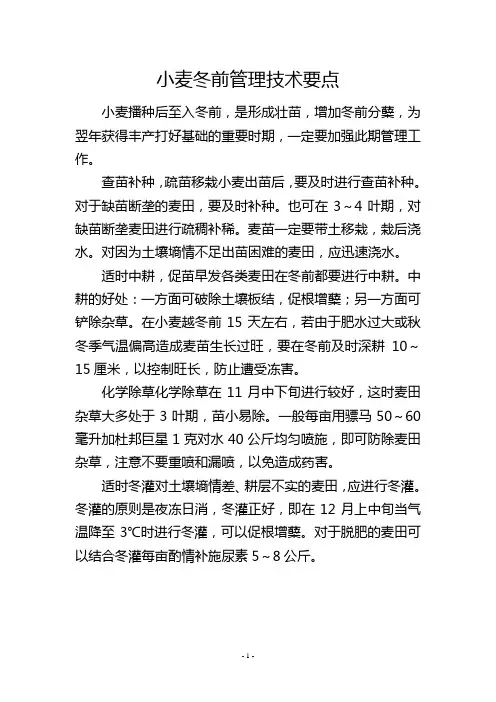 小麦冬前管理技术要点