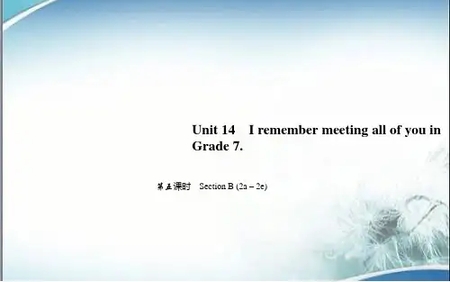 人教版九年级英语下册作业第五课时 Section B (2a-2e)
