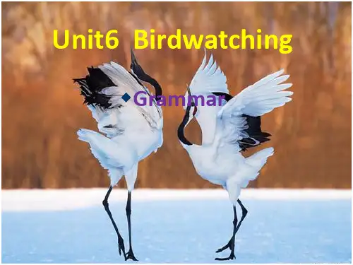 牛津译林版8上Unit6Grammar课件 (共26张PPT)