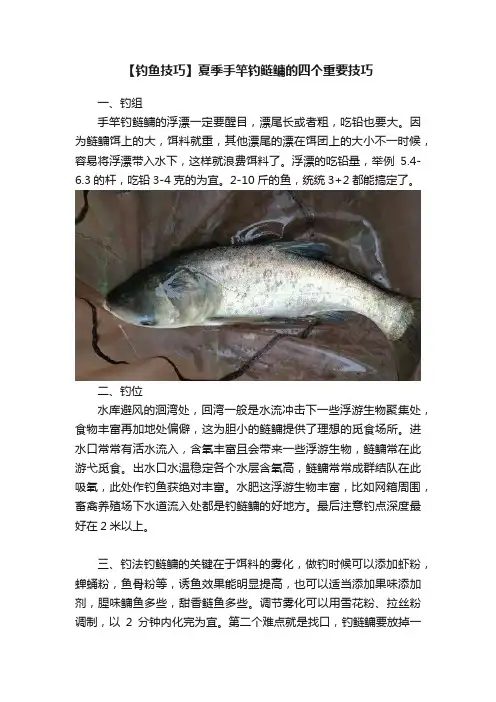 【钓鱼技巧】夏季手竿钓鲢鳙的四个重要技巧