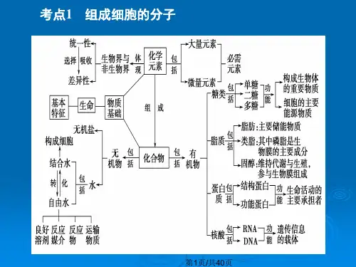高三生物二轮专题复习.pptx