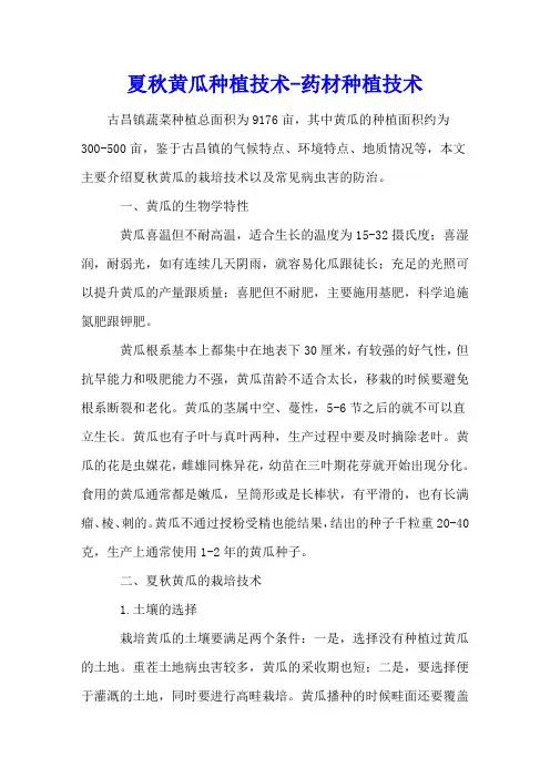 夏秋黄瓜种植技术 - 药材种植技术