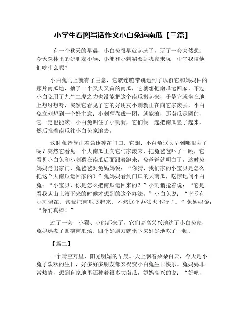 小学生看图写话作文小白兔运南瓜【三篇】