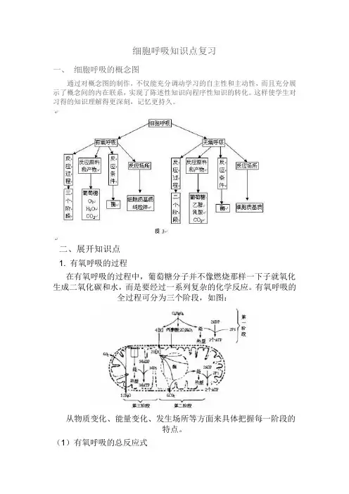 细胞呼吸知识点复习及答案DOC