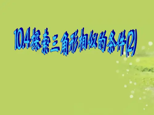 江苏省昆山市兵希中学八年级数学下册 10.4 探索三角形相似的条件课件(2) 苏科版
