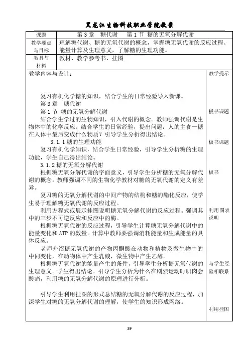 糖的无氧分解代谢