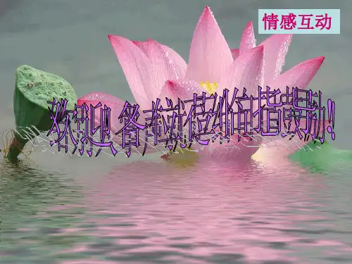 化学式与化合价化学式的写和读 公开课课件
