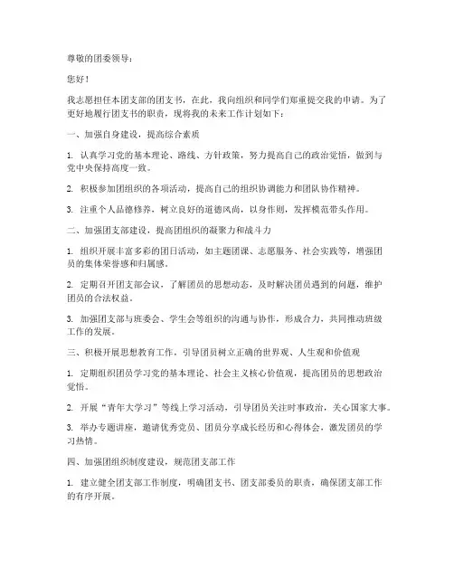 团支书申请书模板未来工作计划