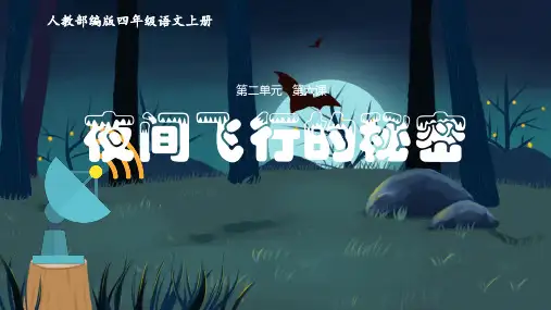 《教学课件》人教部编版语文四年级上册《夜间飞行的秘密》PPT精品课件