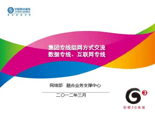 集团专线组网方案介绍--数据专线互联网专线