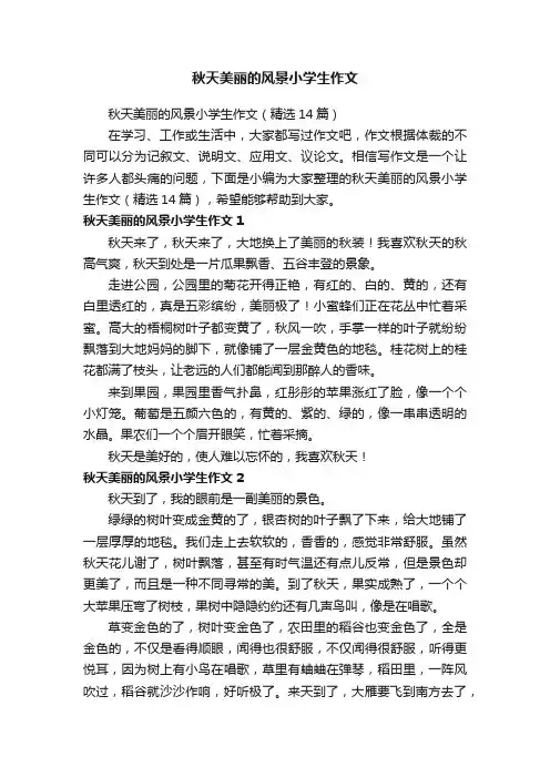 秋天美丽的风景小学生作文