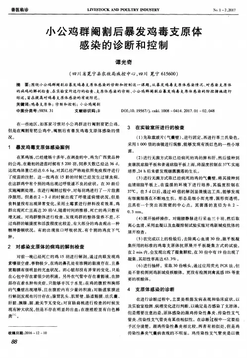 小公鸡群阉割后暴发鸡毒支原体感染的诊断和控制