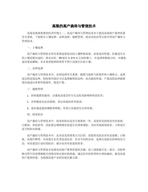 高粱的高产栽培与管理技术