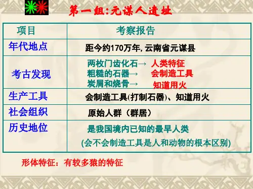 七年级历史上册总复习PPT课件通用