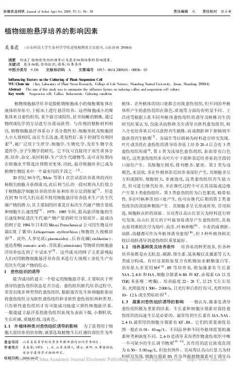 植物细胞悬浮培养的影响因素