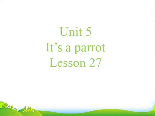 新人教精通版三年级英语下册 Unit 5 It%27s a parrot Lesson 27 课件2