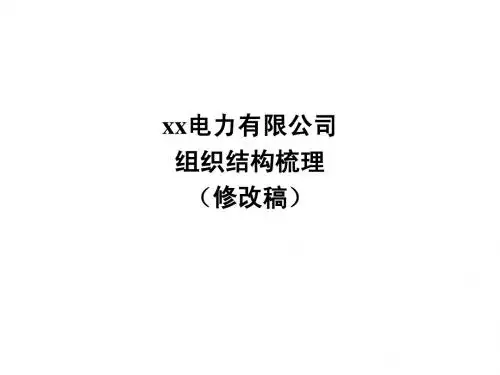 xx电力有限公司组织结构梳理报告