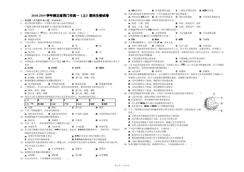 2018-2019学年湖北省荆门市高一(上)期末生物试卷(解析版)