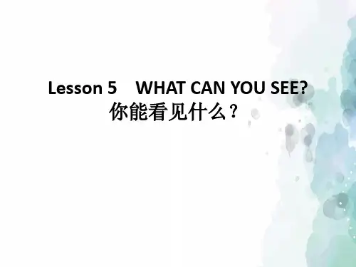 科普版-英语-四年级上册-Lesson 5 同步讲解