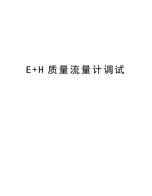 E+H质量流量计调试演示教学
