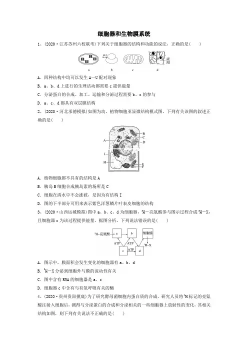 高考生物一轮复习串讲精练(新高考专用)专题05 细胞器和生物膜系统(精练)(原卷版+解析)