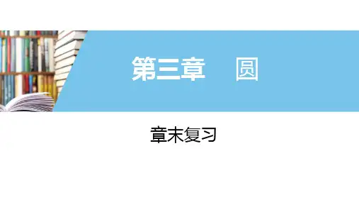 北师大版数学九下第三章圆章末复习课件
