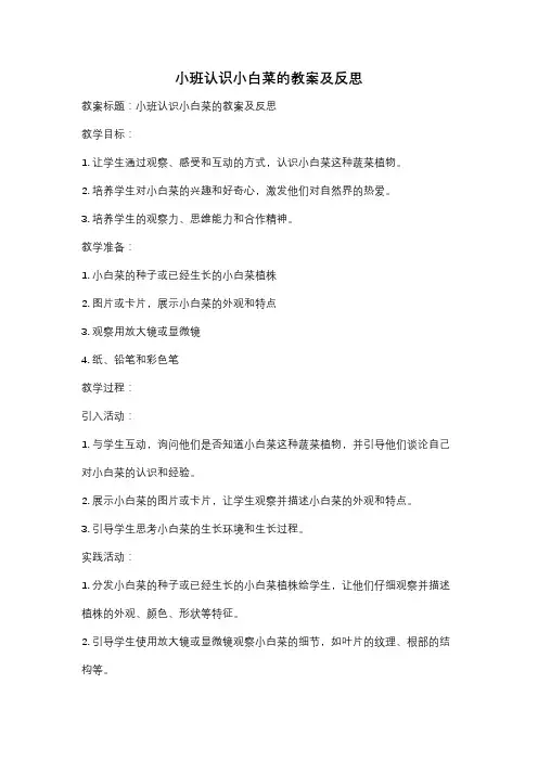 小班认识小白菜的教案及反思