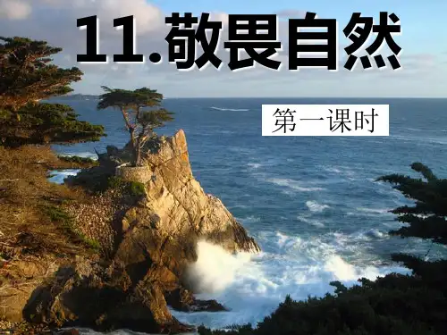 人教版(新课程标准)语文敬畏自然课件