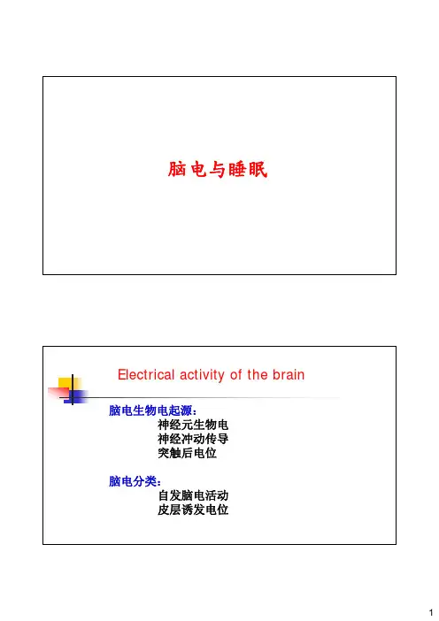 脑电活动PPT