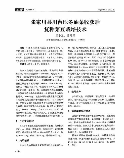 张家川县川台地冬油菜收获后复种菜豆栽培技术