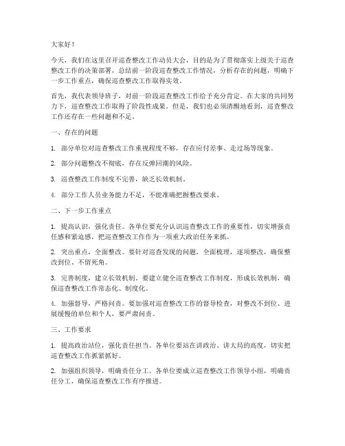 巡查整改领导发言稿范文