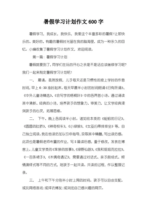 暑假学习计划作文600字