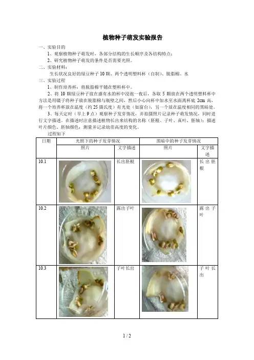 植物种子萌发实验报告 3