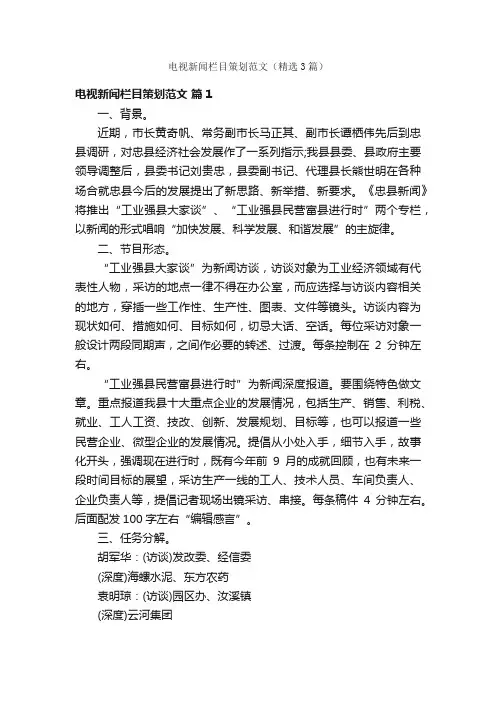 电视新闻栏目策划范文（精选3篇）