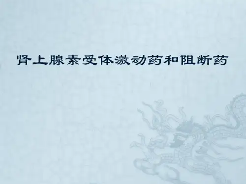 肾上腺素受体激动剂