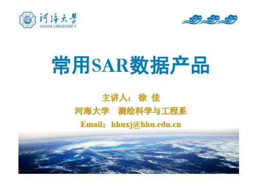 微波遥感_常用SAR数据产品