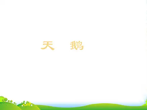 七年级语文下册18《天鹅》课件冀教