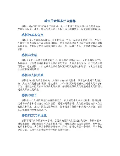 感悟的意思是什么解释