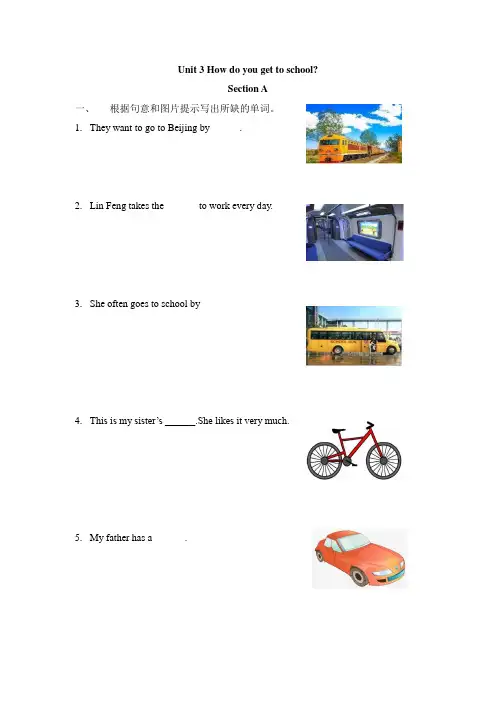 人教七年级下册Unit 3  How  do you go to school 同步练习(含答案)