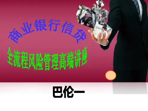 商业银行信贷全流程风险管理(年学员版