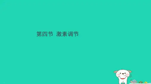 人教版生物《激素调节》ppt课件1